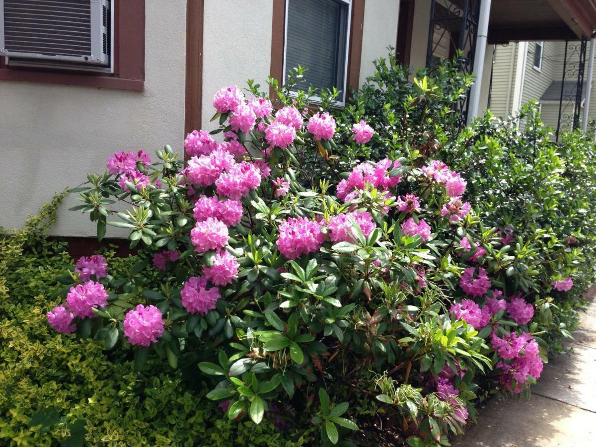 Bowers House Bnb Harvard Mit Cambridge Boston Somerville Eksteriør bilde